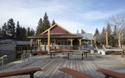 Bowness Lagoon Courtyard and Concession